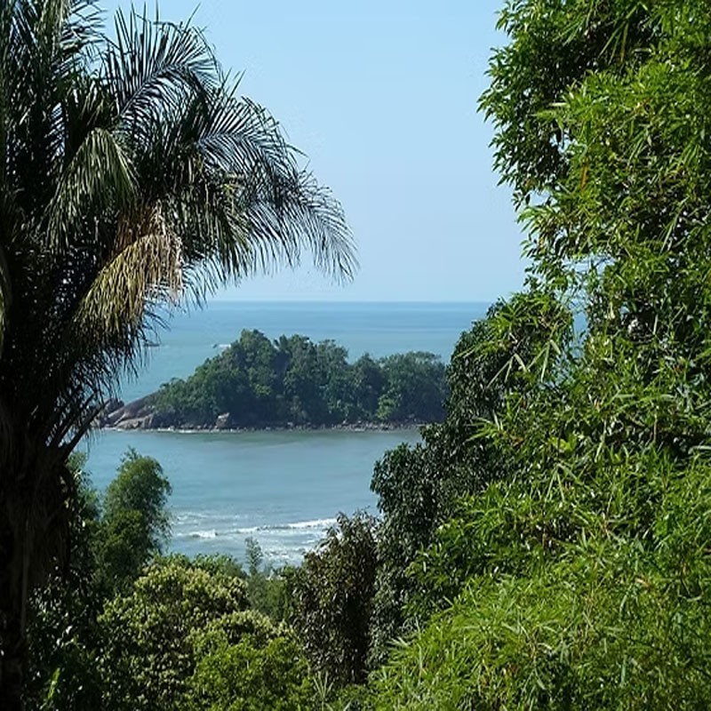 PASSEIO: TRILHA DAS 3 PRAIAS